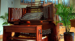 Combination Organs