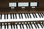 Organ of the Week