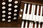 Organ of the Week