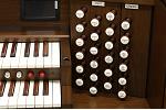 Organ of the Week