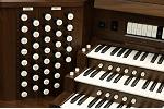 Organ of the Week