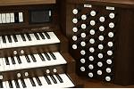 Organ of the Week