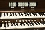 Organ of the Week