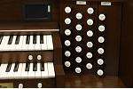 Organ of the Week