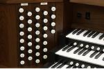 Organ of the Week