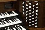 Organ of the Week