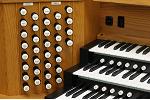 Organ of the Week