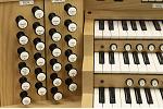 Organ of the Week