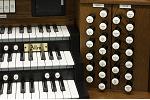 Organ of the Week