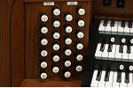 Organ of the Week