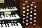 Organ of the Week