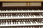 Organ of the Week