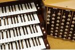 Organ of the Week