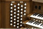 Organ of the Week