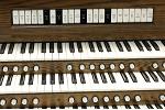 Organ of the Week