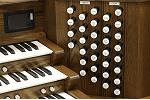 Organ of the Week