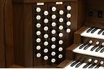 Organ of the Week