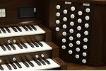 Organ of the Week