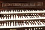 Organ of the Week