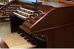 Organ of the Week