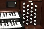 Organ of the Week