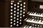 Organ of the Week