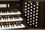 Organ of the Week