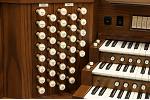 Organ of the Week