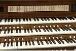 Organ of the Week