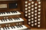 Organ of the Week