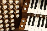 Organ of the Week