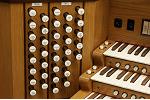 Organ of the Week