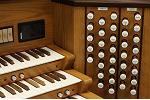 Organ of the Week