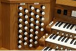 Organ of the Week