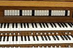 Organ of the Week