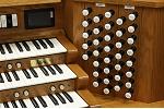 Organ of the Week