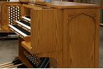 Organ of the Week