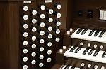 Organ of the Week