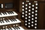 Organ of the Week