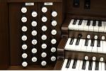 Organ of the Week