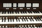 Organ of the Week