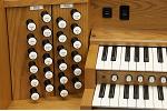 Organ of the Week