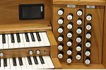 Organ of the Week