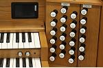 Organ of the Week